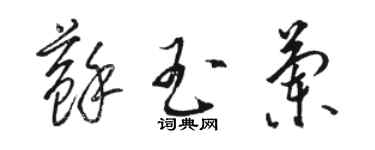 骆恒光苏玉兰草书个性签名怎么写