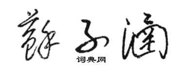 骆恒光苏子涵草书个性签名怎么写