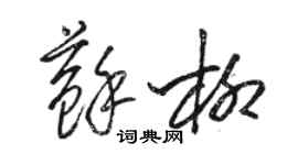 骆恒光苏柳草书个性签名怎么写