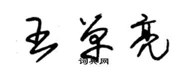 朱锡荣王单亮草书个性签名怎么写