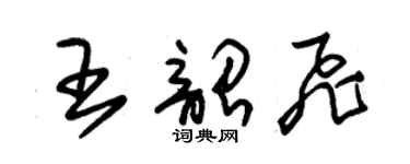 朱锡荣王韶飞草书个性签名怎么写