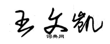 朱锡荣王文凯草书个性签名怎么写