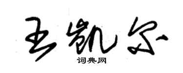 朱锡荣王凯尔草书个性签名怎么写