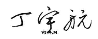 骆恒光丁宇航草书个性签名怎么写