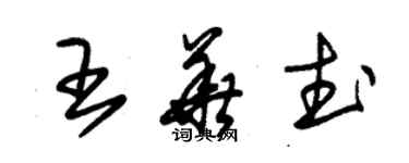 朱锡荣王华武草书个性签名怎么写