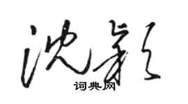 骆恒光沈颖草书个性签名怎么写