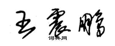 朱锡荣王震鹏草书个性签名怎么写