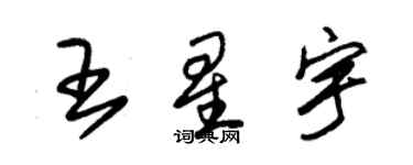 朱锡荣王星宇草书个性签名怎么写