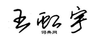 朱锡荣王虹宇草书个性签名怎么写