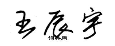 朱锡荣王辰宇草书个性签名怎么写
