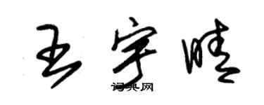 朱锡荣王宇晴草书个性签名怎么写