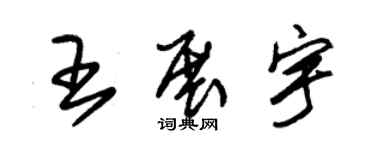 朱锡荣王展宇草书个性签名怎么写