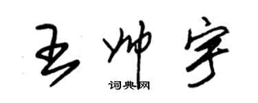 朱锡荣王帅宇草书个性签名怎么写