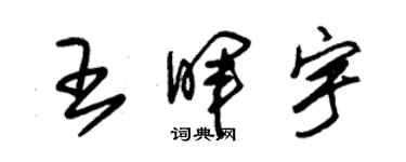 朱锡荣王晖宇草书个性签名怎么写