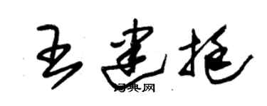 朱锡荣王建挺草书个性签名怎么写