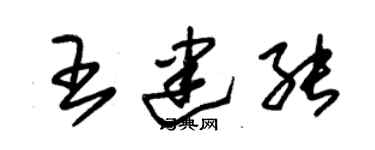 朱锡荣王建能草书个性签名怎么写