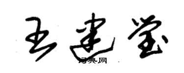 朱锡荣王建莹草书个性签名怎么写