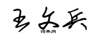 朱锡荣王文兵草书个性签名怎么写