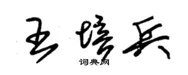 朱锡荣王培兵草书个性签名怎么写