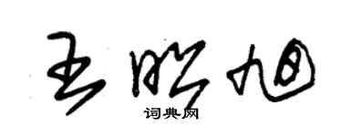 朱锡荣王昭旭草书个性签名怎么写