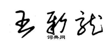 朱锡荣王新龙草书个性签名怎么写