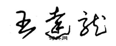 朱锡荣王达龙草书个性签名怎么写