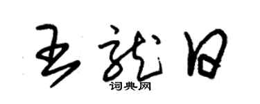 朱锡荣王龙日草书个性签名怎么写