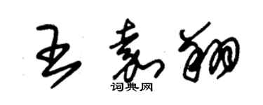 朱锡荣王嘉翔草书个性签名怎么写