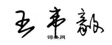 朱锡荣王韦毅草书个性签名怎么写