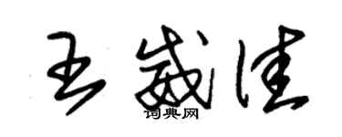 朱锡荣王威佳草书个性签名怎么写