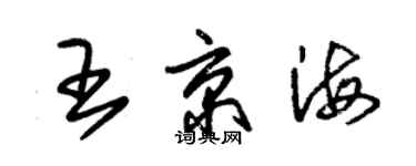 朱锡荣王京海草书个性签名怎么写