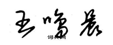 朱锡荣王鸣晨草书个性签名怎么写