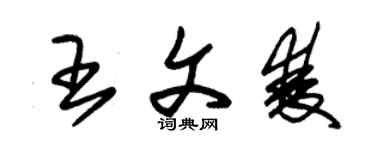 朱锡荣王文双草书个性签名怎么写