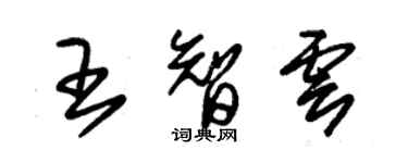 朱锡荣王智云草书个性签名怎么写