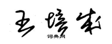 朱锡荣王培成草书个性签名怎么写