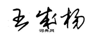 朱锡荣王成杨草书个性签名怎么写