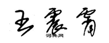 朱锡荣王震霄草书个性签名怎么写