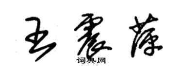 朱锡荣王震萍草书个性签名怎么写