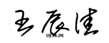朱锡荣王辰佳草书个性签名怎么写