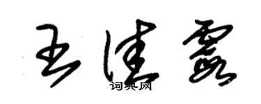 朱锡荣王佳霞草书个性签名怎么写