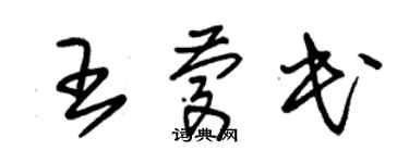 朱锡荣王庆民草书个性签名怎么写