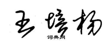 朱锡荣王培杨草书个性签名怎么写