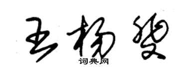 朱锡荣王杨斐草书个性签名怎么写