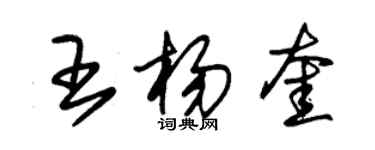 朱锡荣王杨奎草书个性签名怎么写