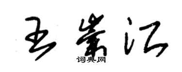 朱锡荣王崇江草书个性签名怎么写