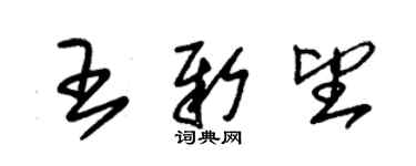 朱锡荣王新望草书个性签名怎么写
