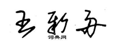 朱锡荣王新舟草书个性签名怎么写
