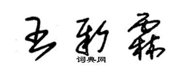 朱锡荣王新霖草书个性签名怎么写