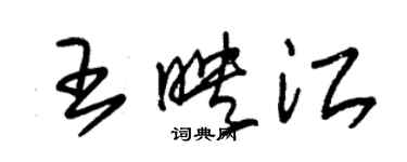 朱锡荣王映江草书个性签名怎么写
