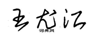 朱锡荣王尤江草书个性签名怎么写